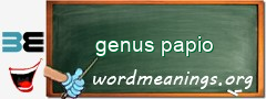 WordMeaning blackboard for genus papio